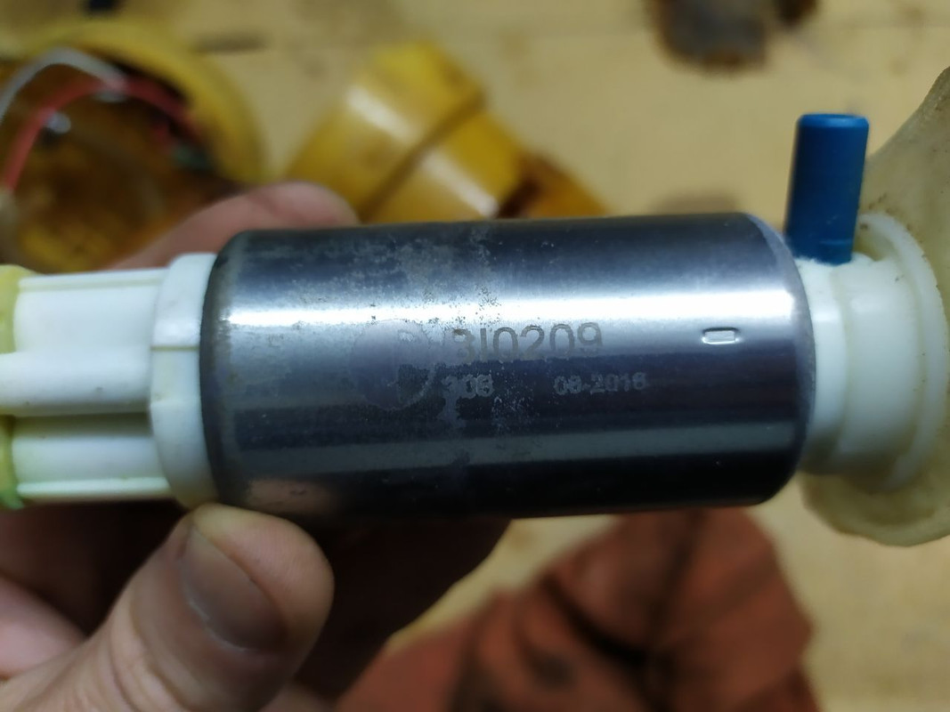 photo5008182573423241331 (1)