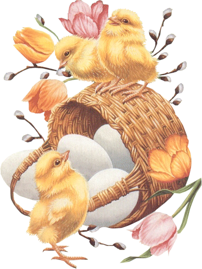 Chick_&_Tulips