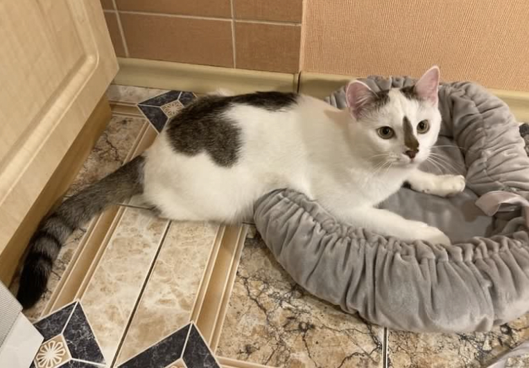 9734D329-6FE3-4841-9BF5-8AF59BC63E15