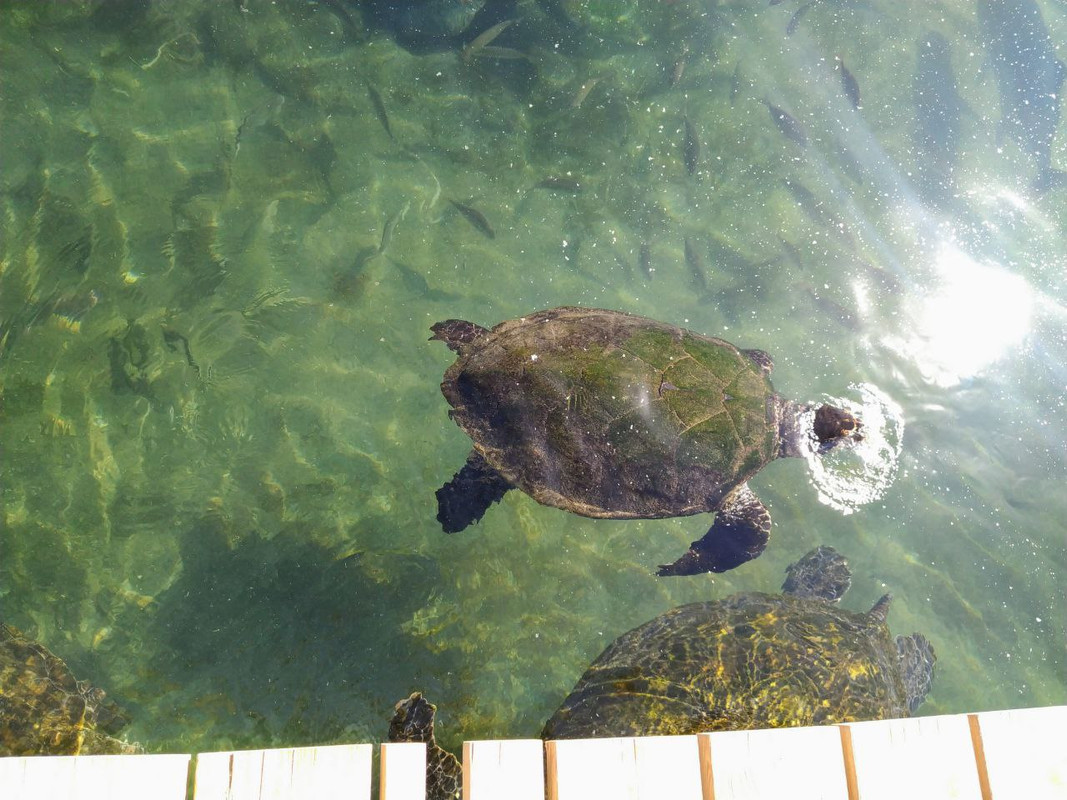 CAE575A7-C1A2-4C66-9DB5-359890E4DEE0