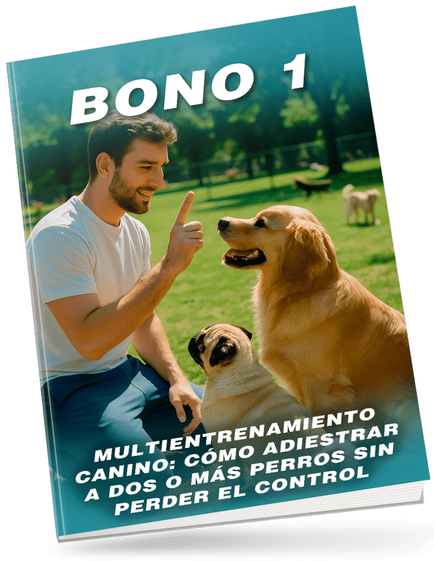 Bono 1