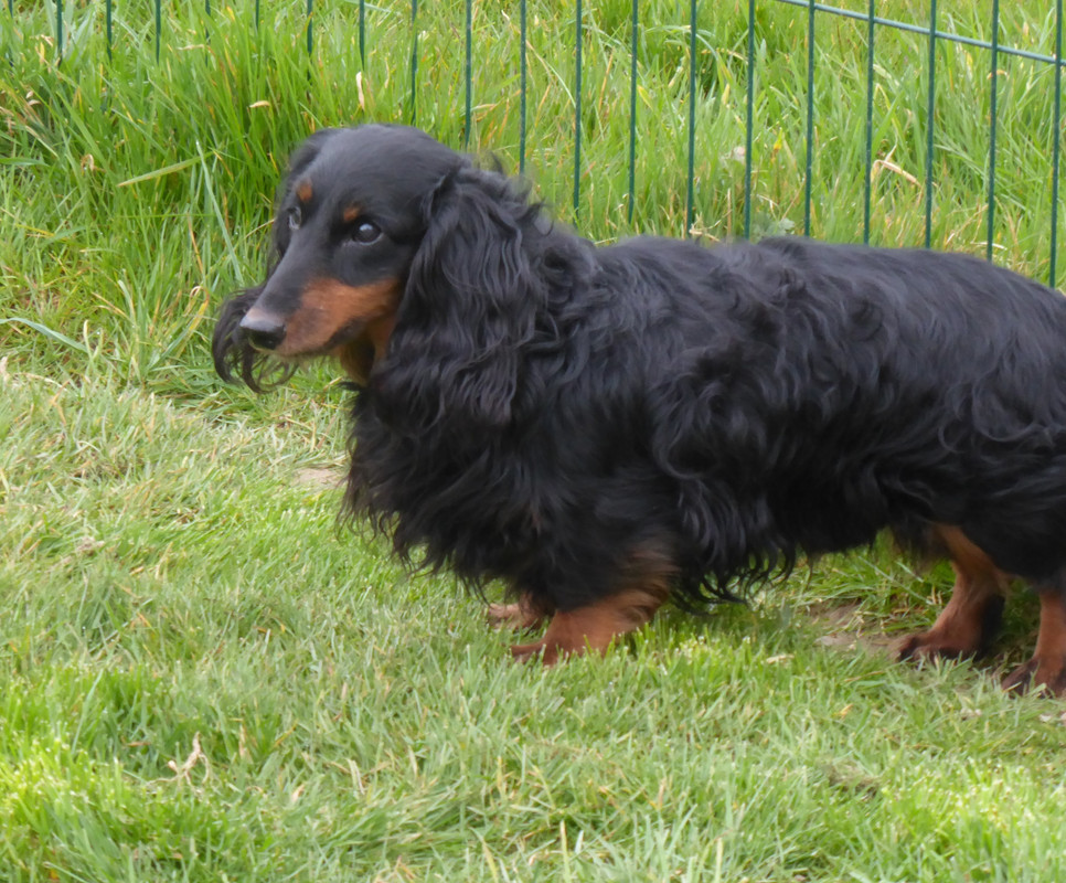 [Image: P1060091.jpg]