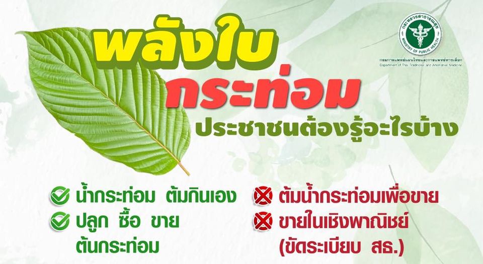 พลังใบกระท่อม ประชาชนต้องรู้อะไรบ้าง ขออนุญาตผลิตภัณฑ์สมุนไพรกระท่อมทำอย่างไร