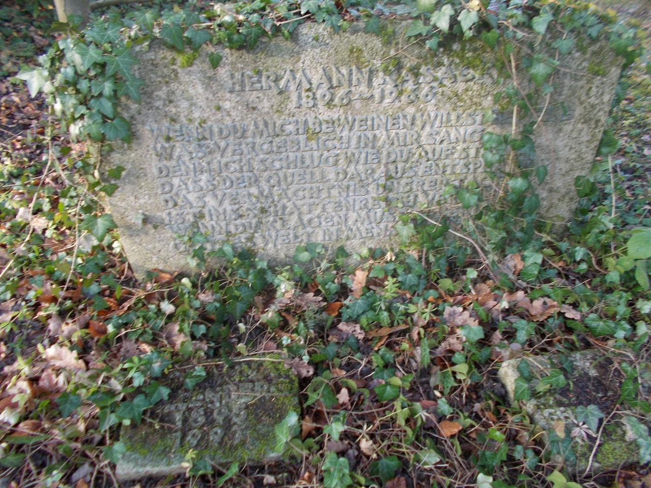 156370721 1457527461