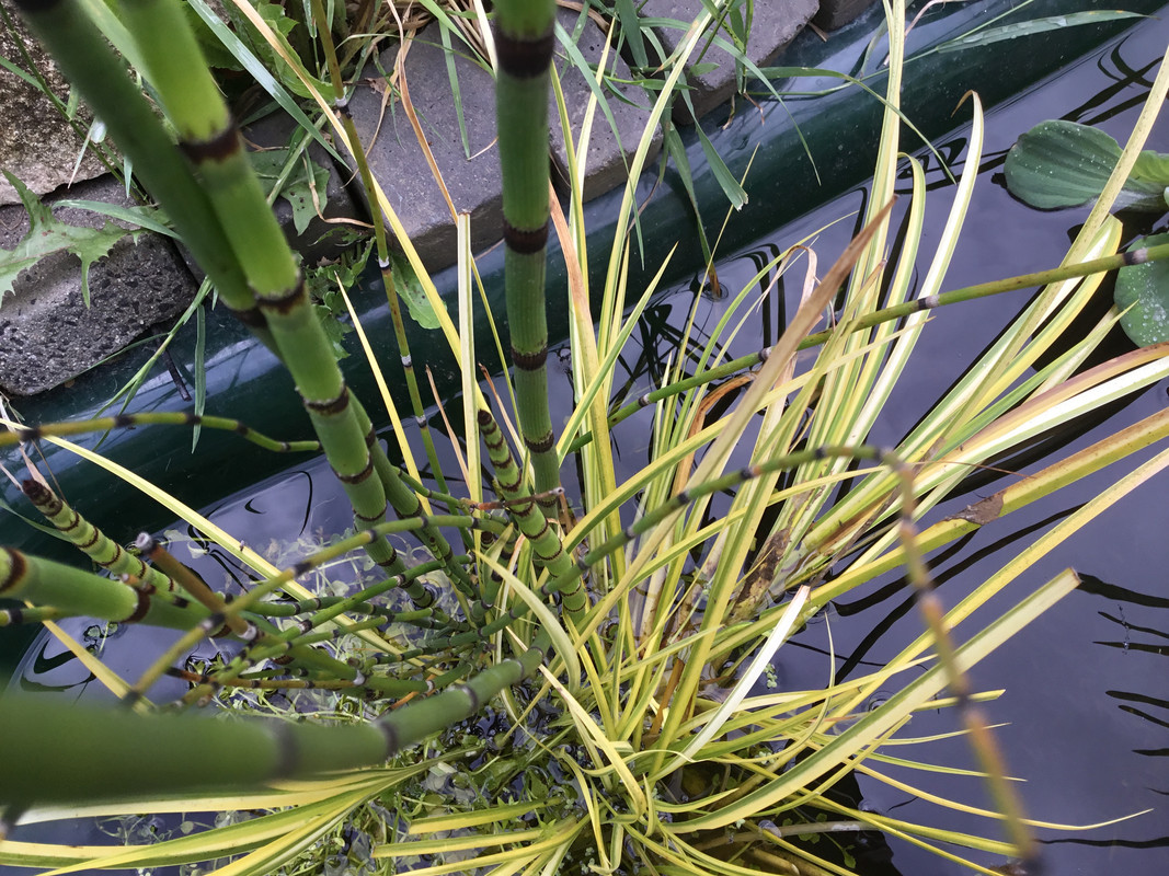 431B5528-4FC1-4163-A3DE-ED5FA1C48D40