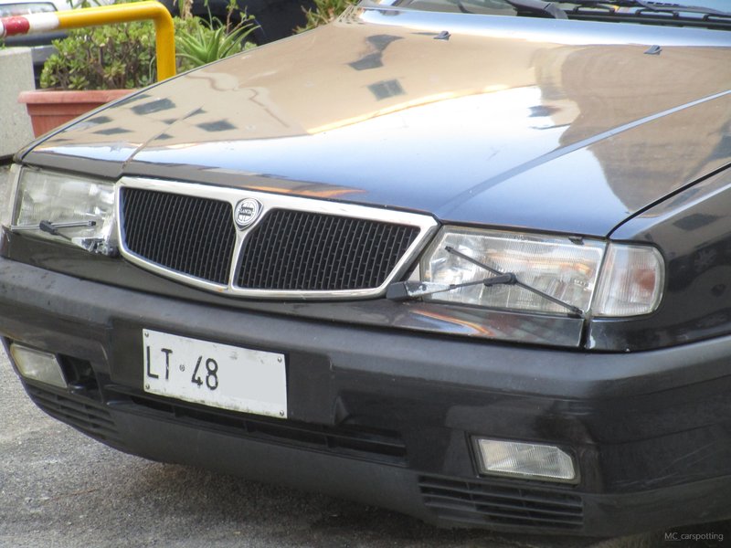 IMG-7447.jpg