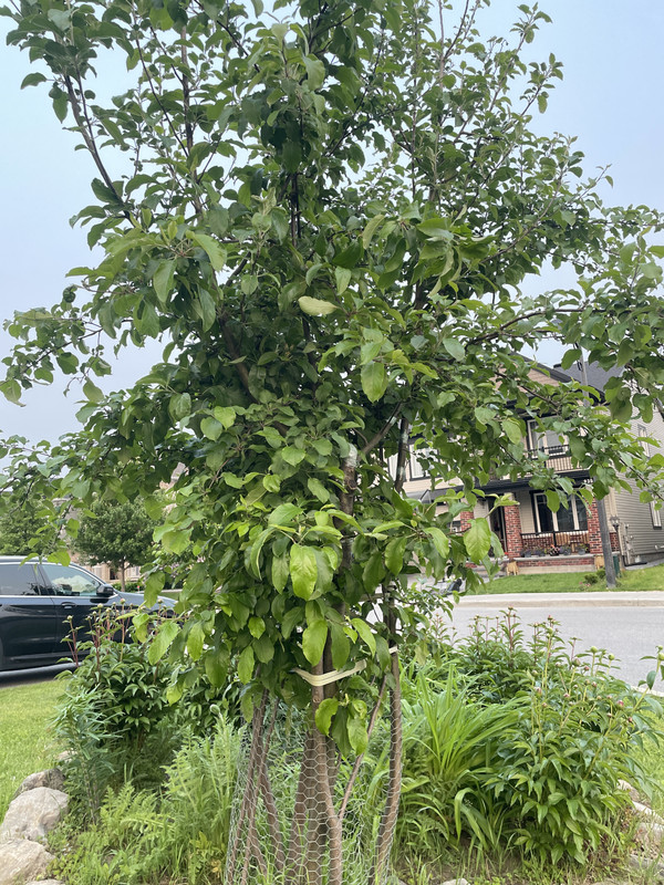 233A8876-3798-4E51-A4FD-9A75C45C9B4D