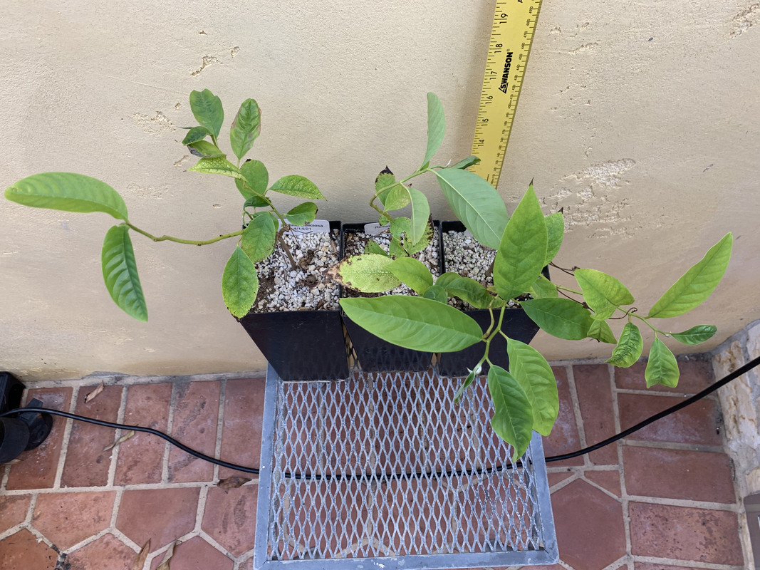 089B198E-5E79-4E04-BF84-58BD4D011508