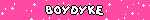 boydyke blinkie
