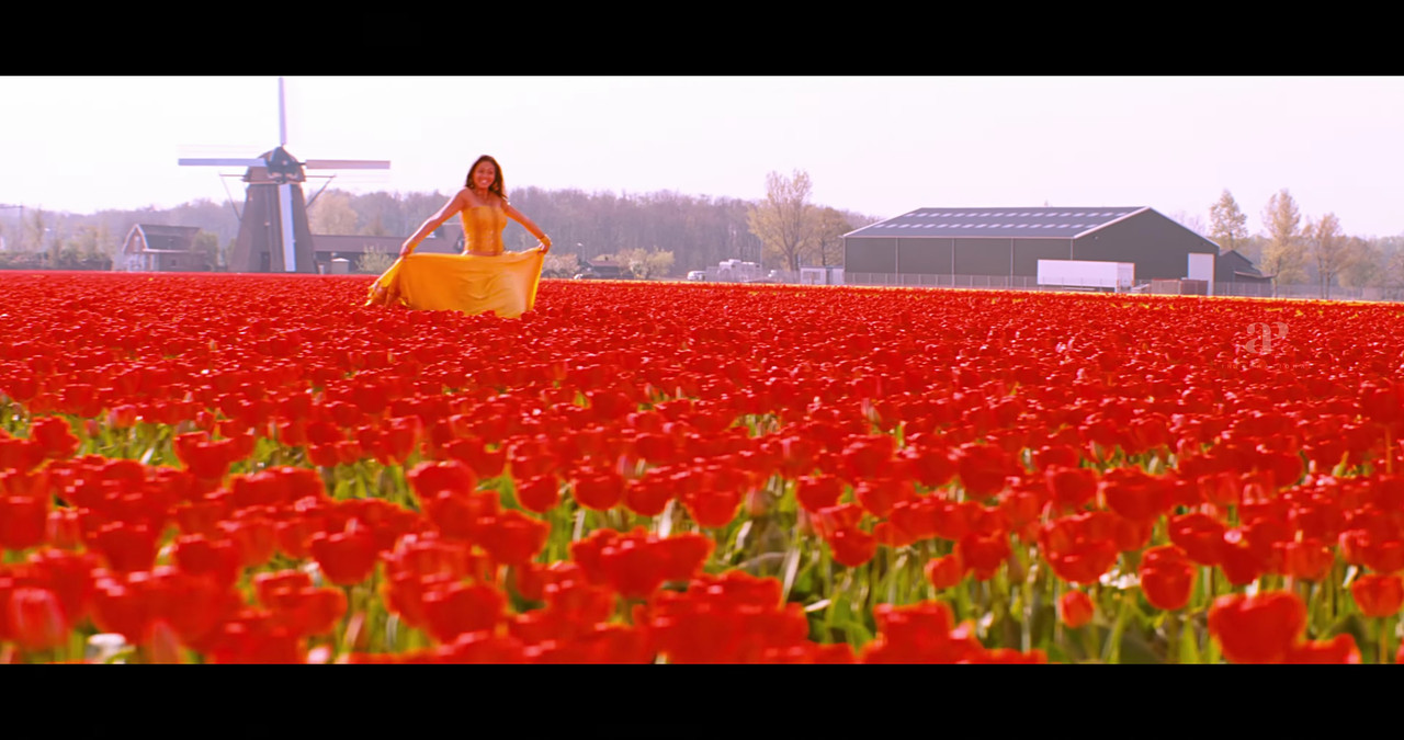 VideoCapture_20241122-200329