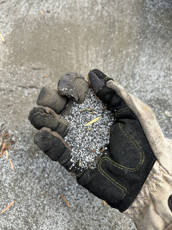 90BDE99D-5E0C-4E75-83F0-0D5A834B7DB8