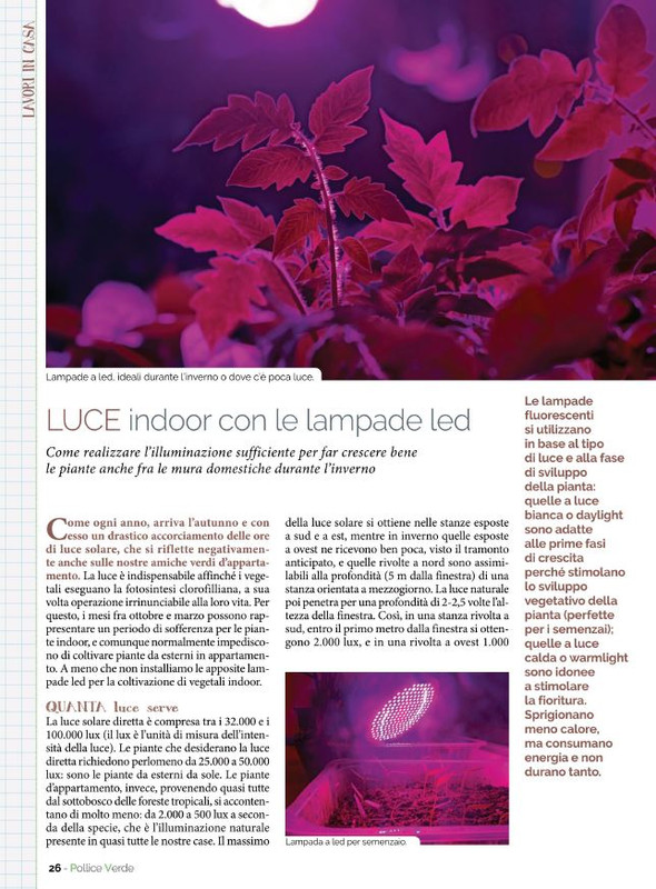 Pol Ver Ott 2022 (5)