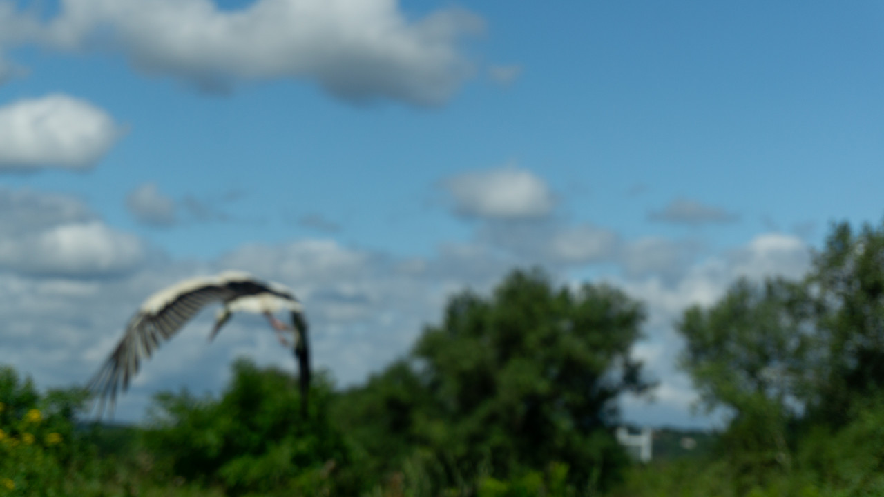 DSC07777.jpg