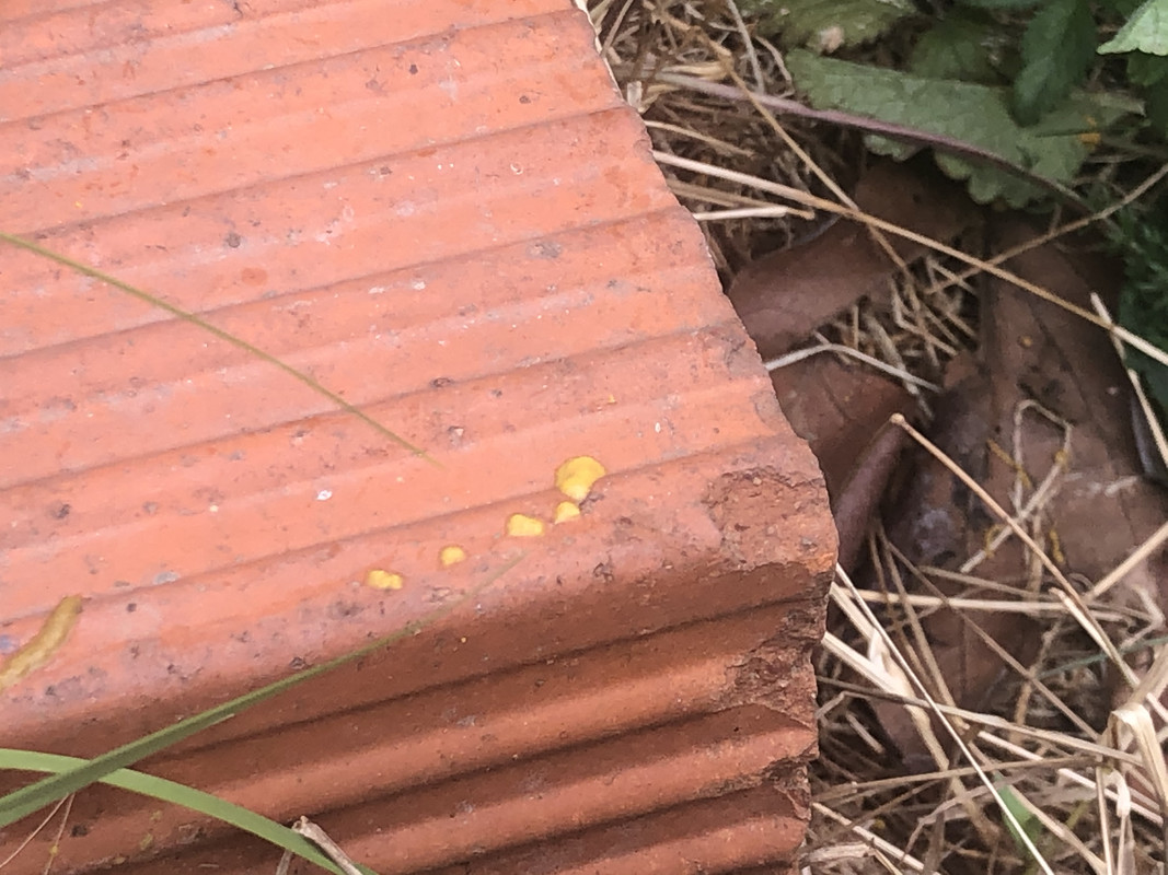 F2AA318A-F7A2-477A-8A54-003D42D4D217