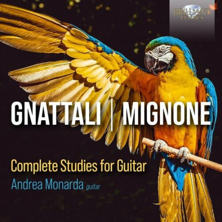 Andrea Monarda - Gnattali, Mignone: Complete Studies for Guitar (2022)