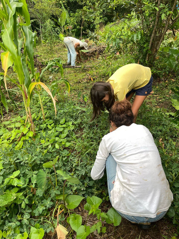 fdcbd9bd-1529-47d3-9348-ca78d861dddc.png