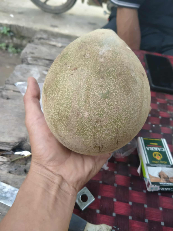 577209861 877753541243446 6144666416005828608 n