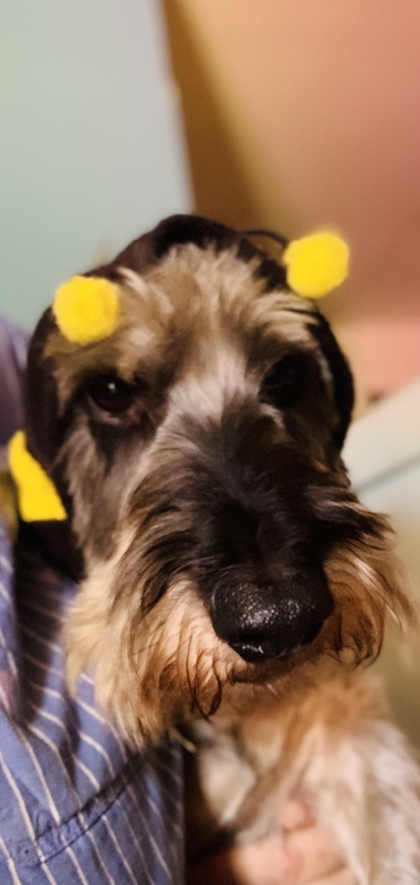 [Image: IMG-1256.jpg]