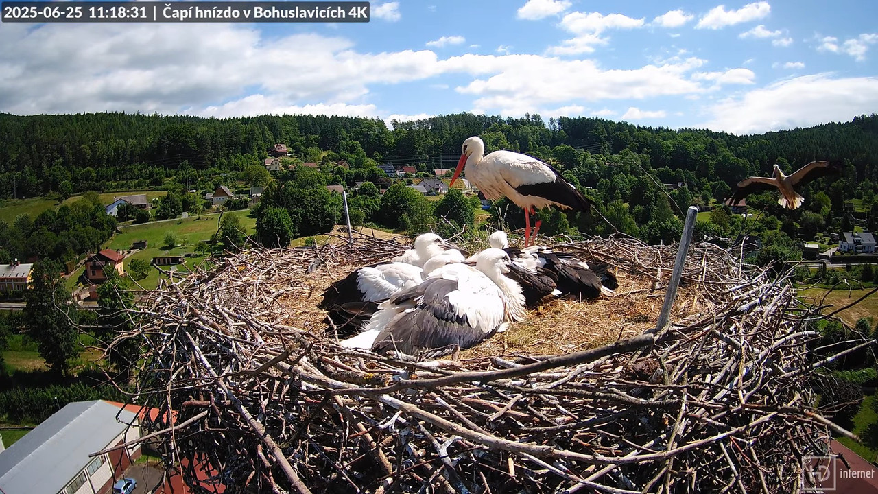 Tiešraide no KARA uzņēmuma stārķu skursteņa Bohuslavicē netālu no Trutnovas 11-13-34 screenshot (1)