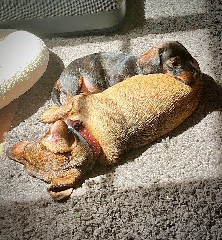 [Image: e6049804-5343-41b4-803e-209f8230e35c.jpg]