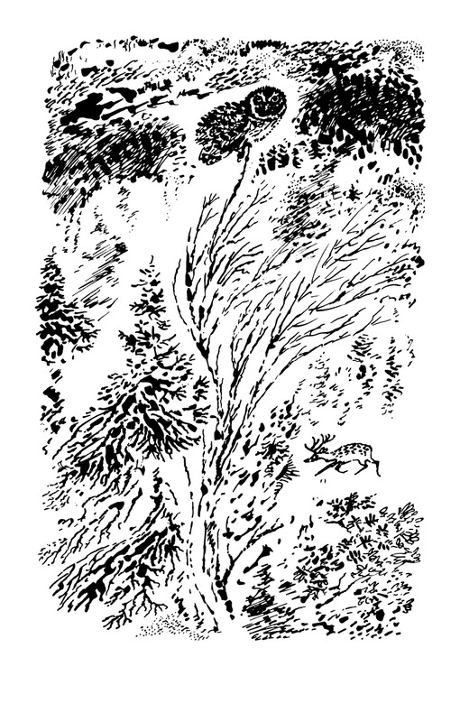 1993-page-0206