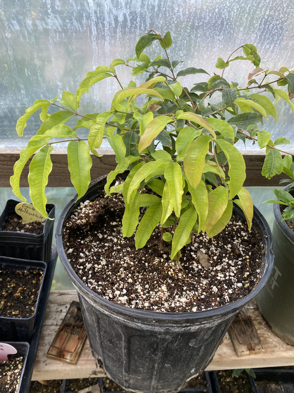 8EEA4395-1605-43A3-8243-ECE6A8DDC485