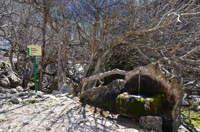RUTA RIO BOROSA-12-3-2016-JAEN - Paseando por España-1991/2016 (72)