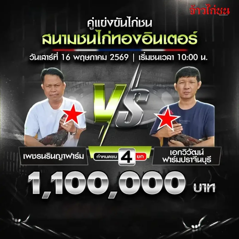 เพชรนรินญาฟาร์ม vs เอกวิวัฒน์ฟาร์มปราจีนบุรี โปรแกรมไก่ชน สนามชนไก่ทองอินเตอร์ 16 พฤษภาคม 2569