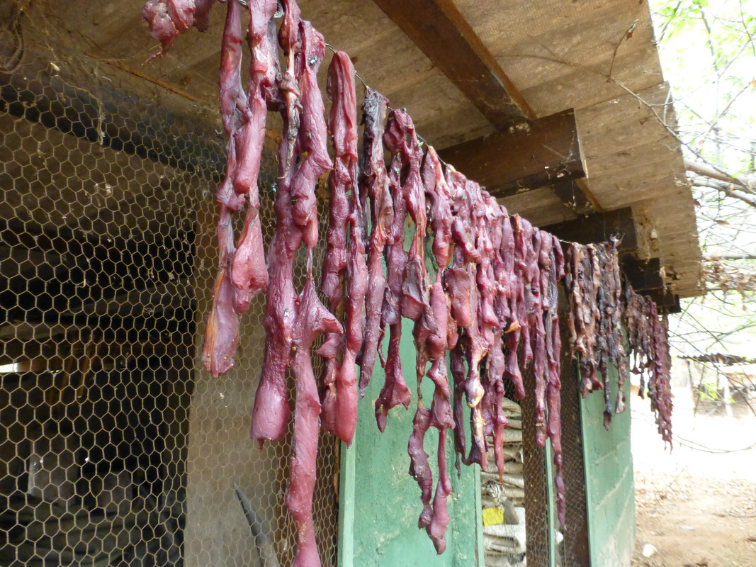 P1000444