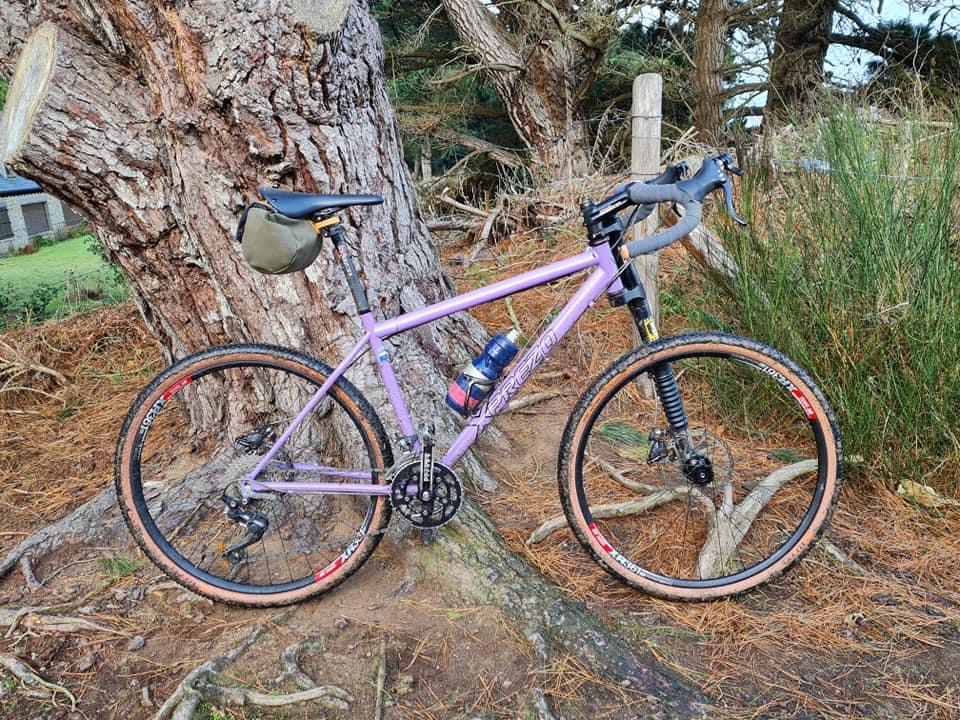 AEDA382D-C6F4-491A-933B-6A2DCD03FCC0