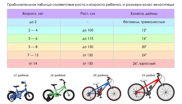 Отбор и покупка ребяческого велосипеда