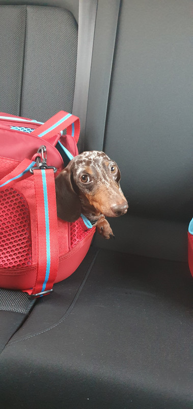 [Image: 20220115-164521.jpg]