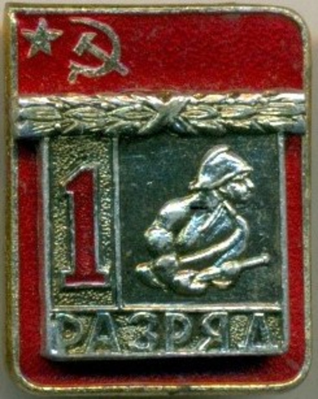 Пожарно-прикладные виды спорта (ВХО)