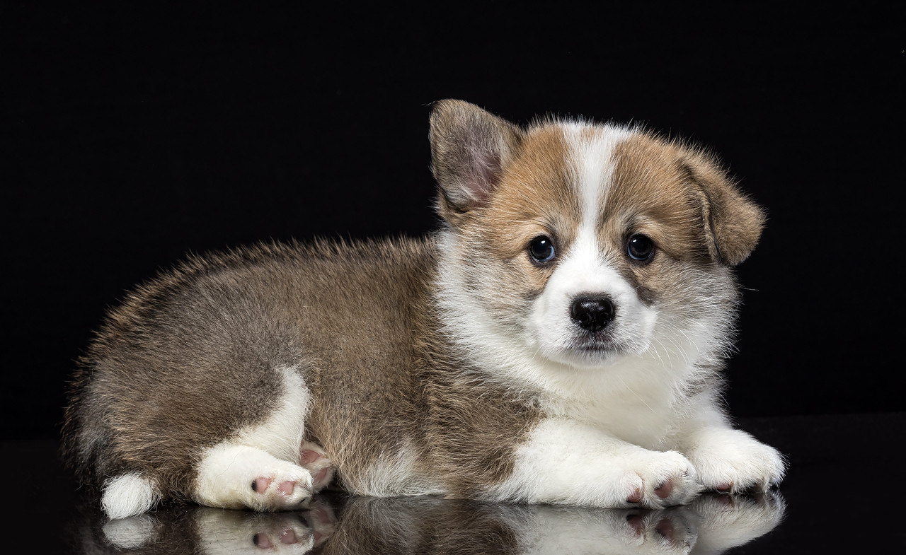 27697862-1DE3-44E6-B1E6-9C356FE5D02E