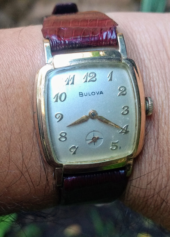 IMG_20200811_081942201~2