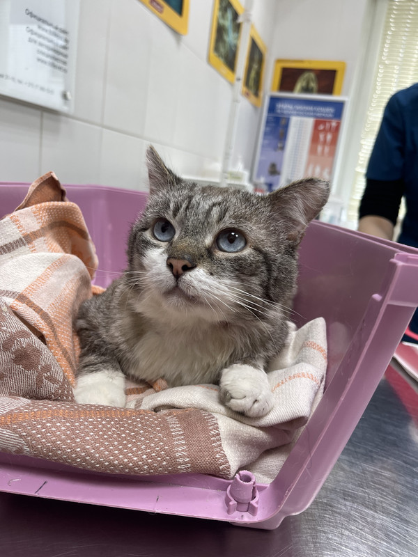 AD5F8C2A-A678-4E84-A2F5-6F78D3E7C1FA(1)