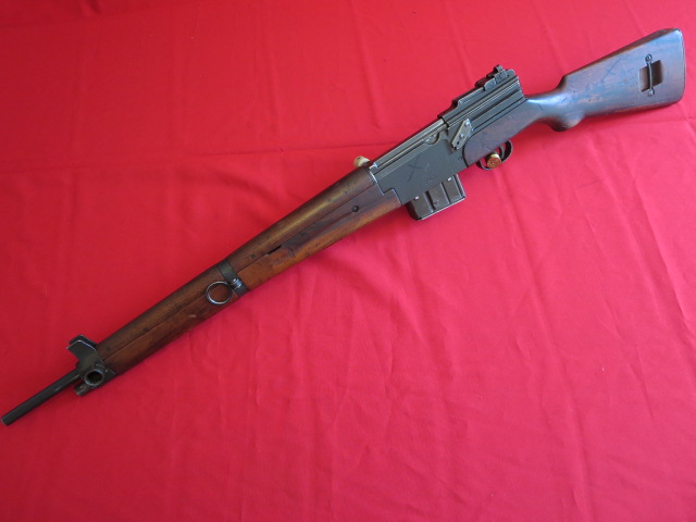 IMG-3569