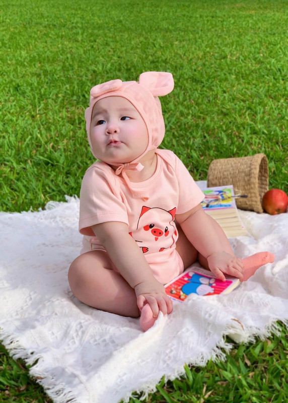 Bộ Heo con ủn ỉn