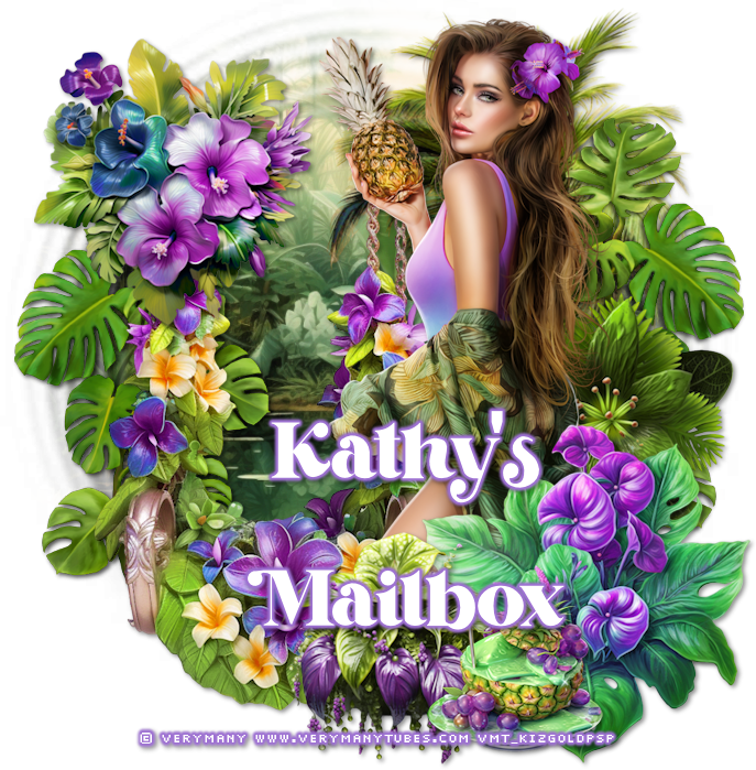 Kgseasidekathymailboxbeachfly72 Postimages