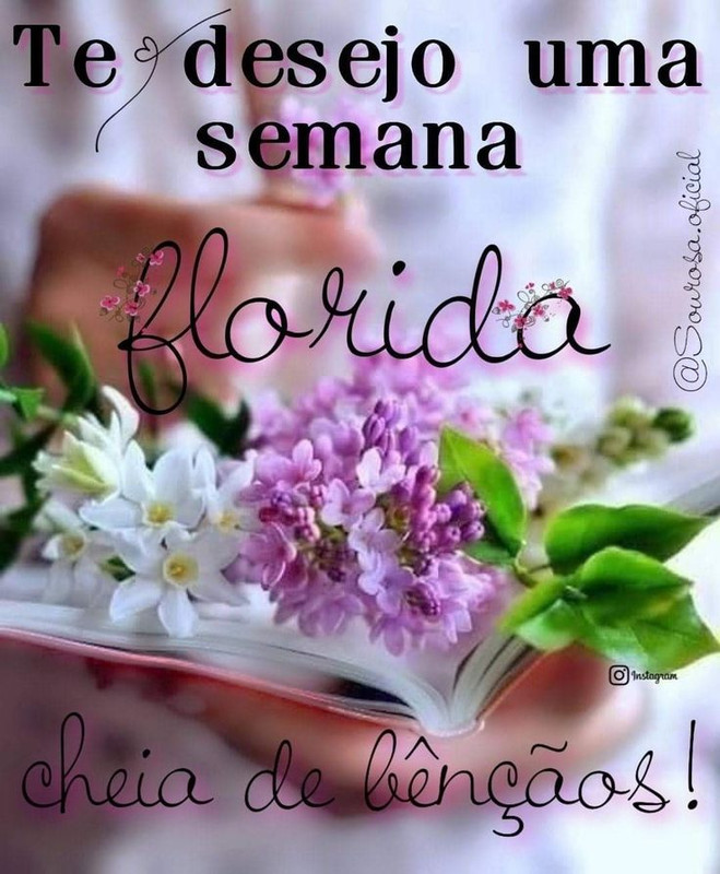 4808cd67146ad4919a483a78f4fc0a46