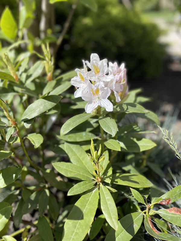 08D0E70E-D6E8-49A8-8324-B8C44C8D99AB