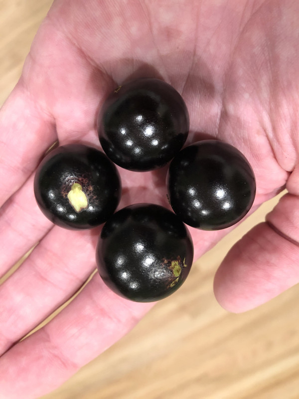 2A46E4D5-C45C-49AA-897A-21301E5C1A19