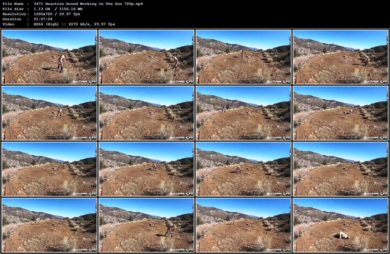 3471 Beauties Bound Working In The Sun 720p mp4