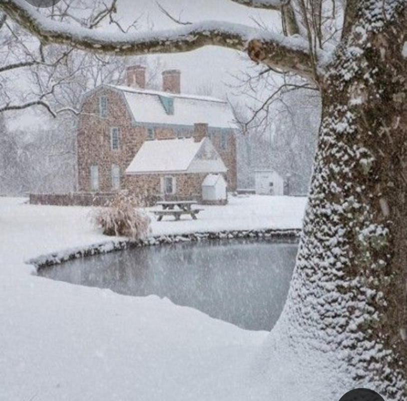 Screenshot_20230312_235032_Pinterest