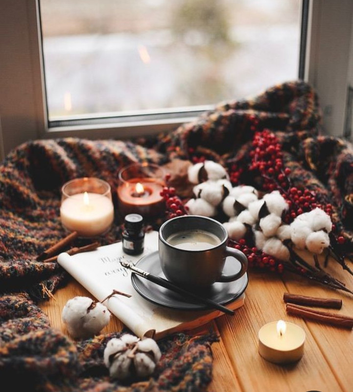 Screenshot_20231120_221421_Pinterest