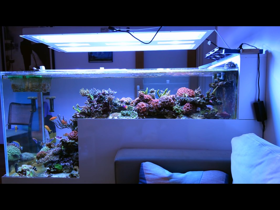 8D4A24E5-E216-4AE6-98CF-7DCDC1EBC5A1