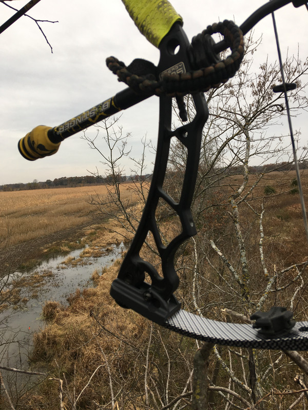 33BFFB42-BBC1-447D-9516-76BF56D0F003