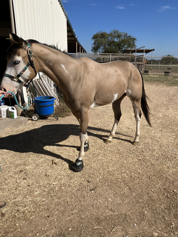 3CE370BB-1E57-40EB-A52C-693F2E466378