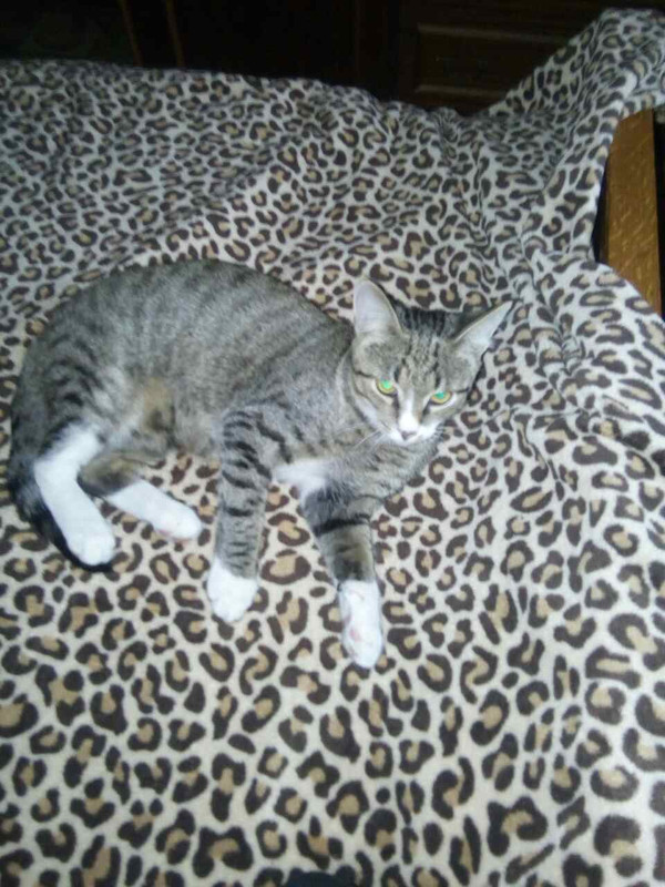 Жорик дома 3 дня