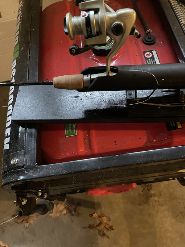 5F55C2E5-4561-47B1-B8BD-010C06D801AE